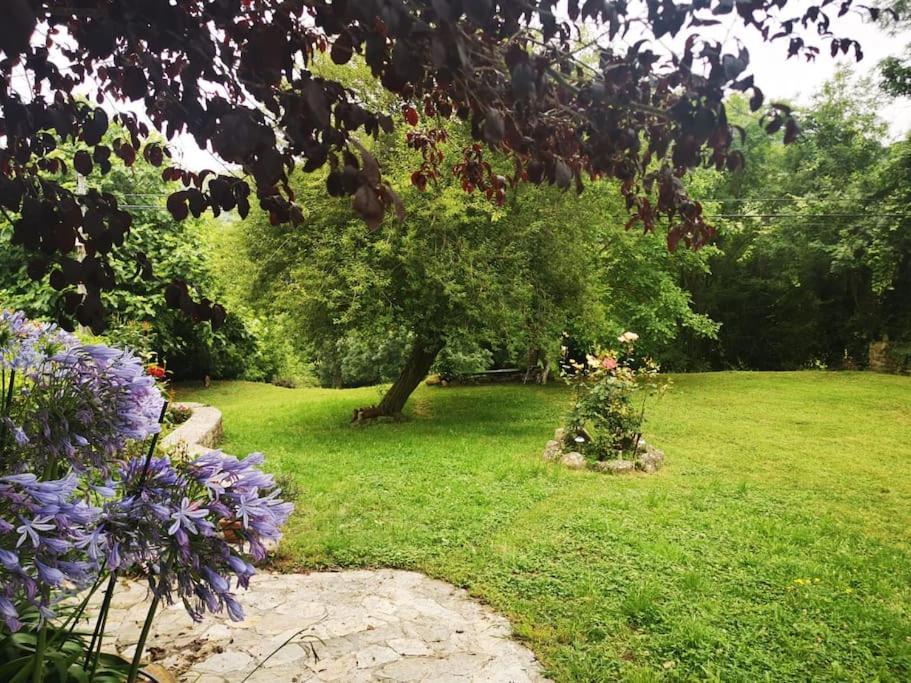 La Flor De Toranzo "Vive Los Valles Pasiegos" Prases ภายนอก รูปภาพ
