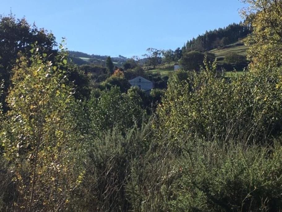 La Flor De Toranzo "Vive Los Valles Pasiegos" Prases ภายนอก รูปภาพ