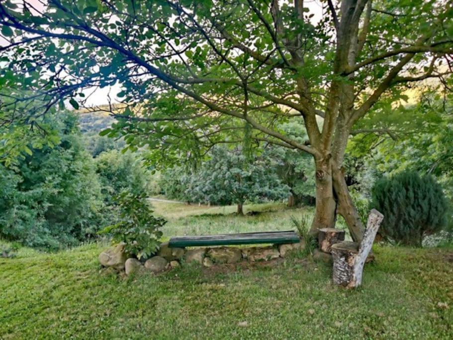 La Flor De Toranzo "Vive Los Valles Pasiegos" Prases ภายนอก รูปภาพ