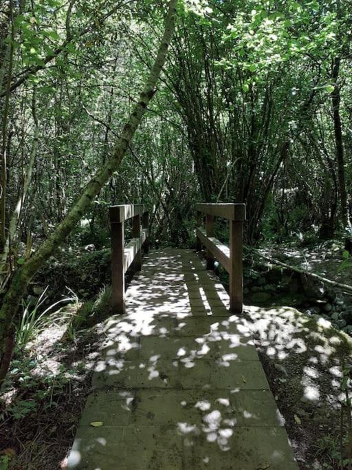 La Flor De Toranzo "Vive Los Valles Pasiegos" Prases ภายนอก รูปภาพ